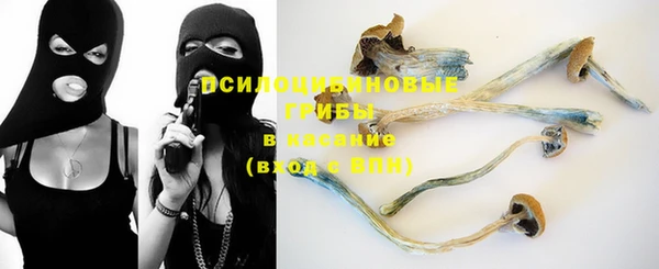 круглые Магас